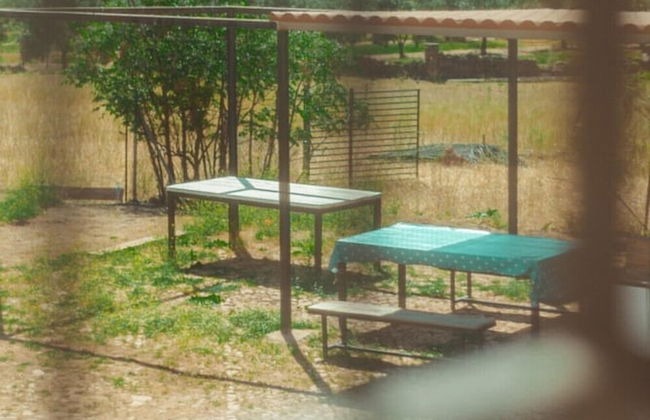 Cortijo Vizconde - Photo 48