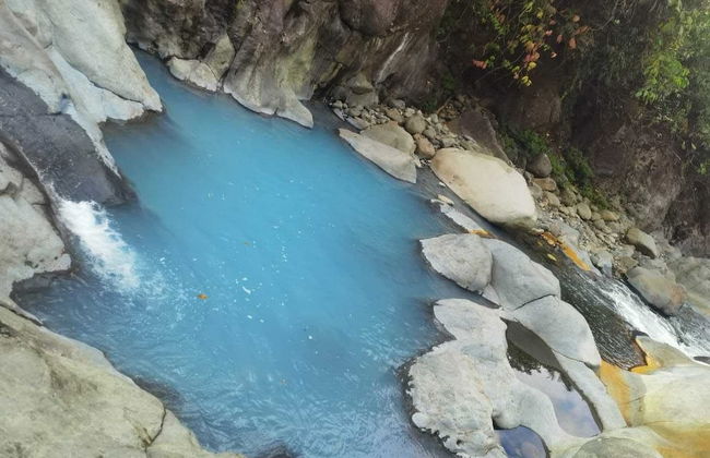 Selvática del Toro - Foto 46