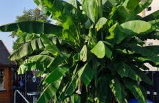 Apartmenthaus Wertheim - Foto 13