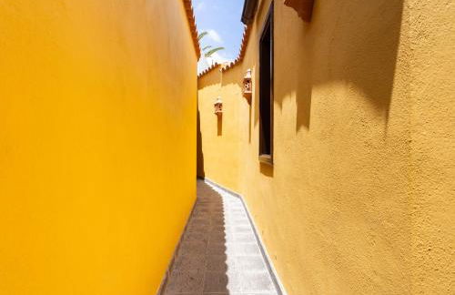 Live Arico El Mirador - Foto 29