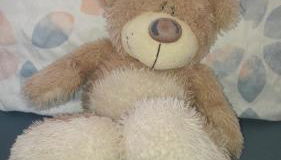 Ferienhaus Schrammsteinblick - Foto 3