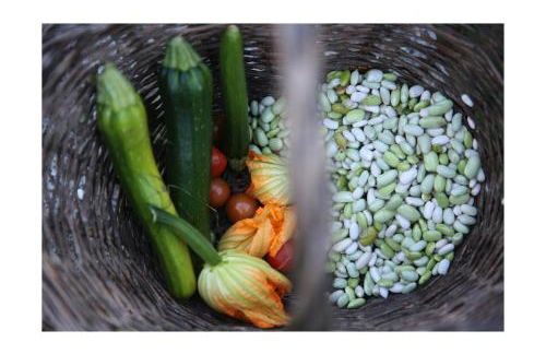 Château D'harcelaines - Foto 96