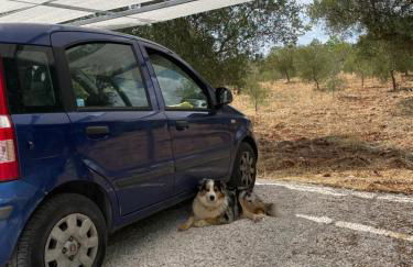 Masseria I Raffi b&b - Foto 57