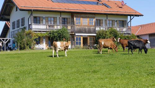 Seeleitenhof - Foto 2, Garden