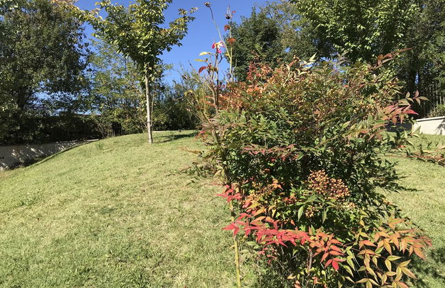 Oasi del Vetoio - Photo 10