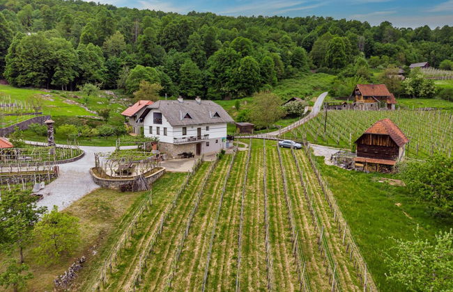 Vineyard Homestead Vrtin - Foto 34