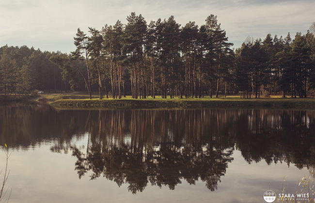 Resort Stara Wieś - Foto 74