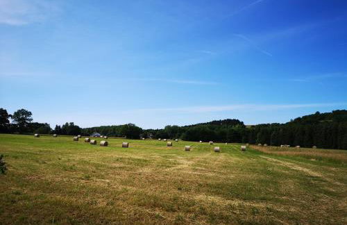 Ferienwohnungen Harzblick - Foto 45