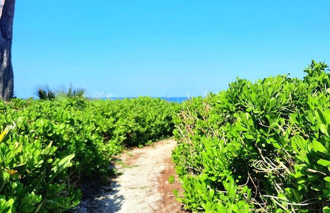 Sunset Beach 202 2 Bedroom Condo by RedAwning - Photo 12