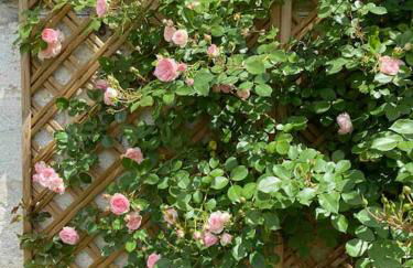 Appartement de charme côté Bordeaux - Foto 7