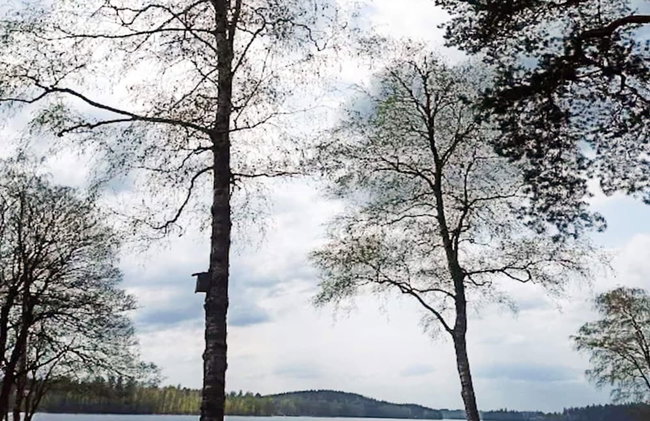 4 Person Holiday Home in Boras - Foto 27