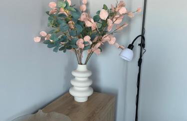 Bulwar Apartament Stare Miasto - Foto 23