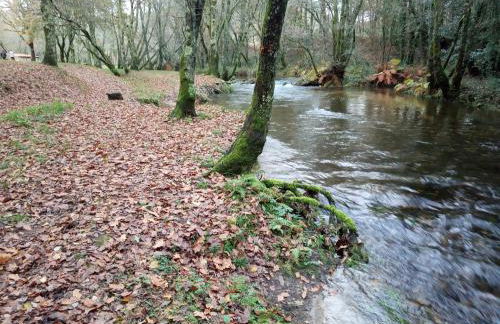 Casa silvosa - Photo 16