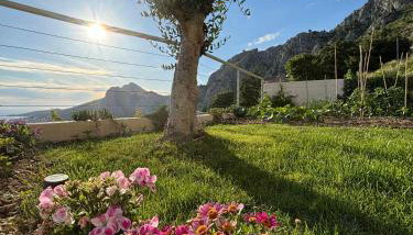 Casa Miele - Foto 2, Garden