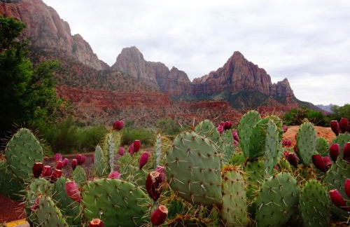 Zion Village Oasis by the Pool with Lazy River - Foto 38