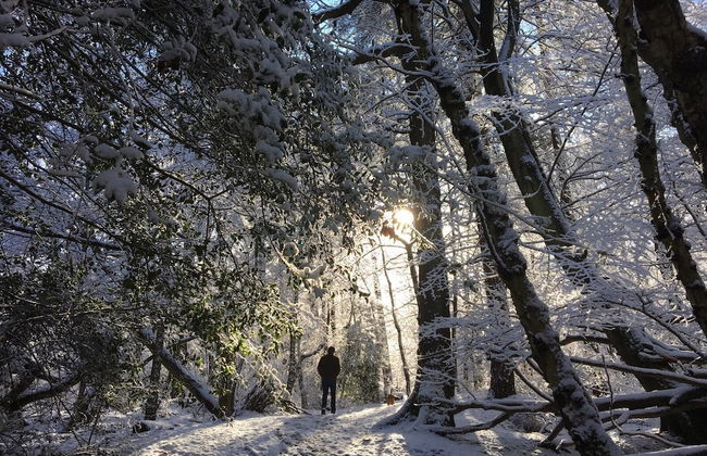 Oak House Farm - Foto 9