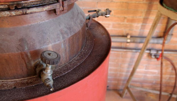 Tour de Quesos y Gins Todo Incluido en las colinas del Prosecco. - Foto 4