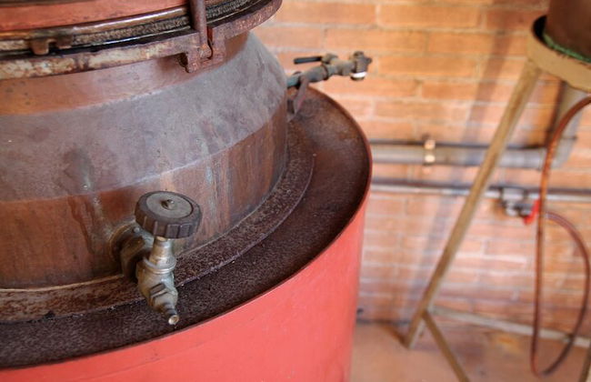 Tour de Quesos y Gins Todo Incluido en las colinas del Prosecco. - Foto 4