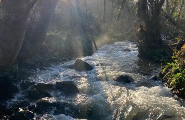 Badger Banc - Foto 19