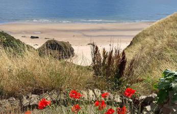 The Burnside Apartment - Foto 17