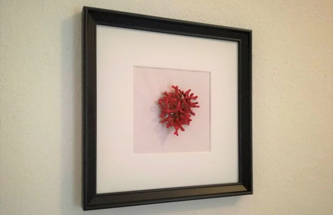 Villa Corallo - Photo 9