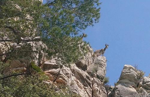 Cal Vientos - Foto 50