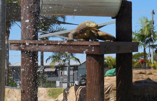 NRMA Blue Dolphin Yamba Holiday Resort - Foto 44