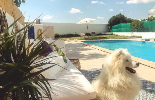 Olive Village - Foto 9