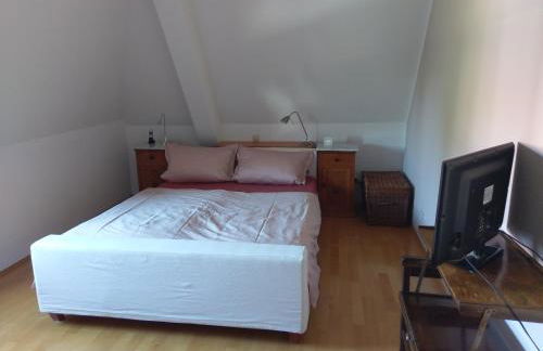 Aalens schönste Aussicht - Foto 8