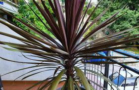 Apartment Gašparac - 30 meters from the beach - Photo 21