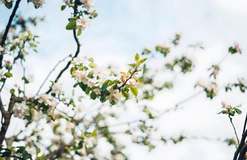 Landpension Am Sommerhang - Photo 37