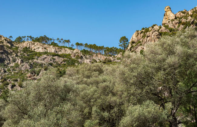 1 bedroom Apartment in Corte - Photo 20