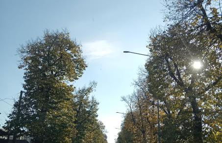 Luna Reale Relais e Suite - Foto 38