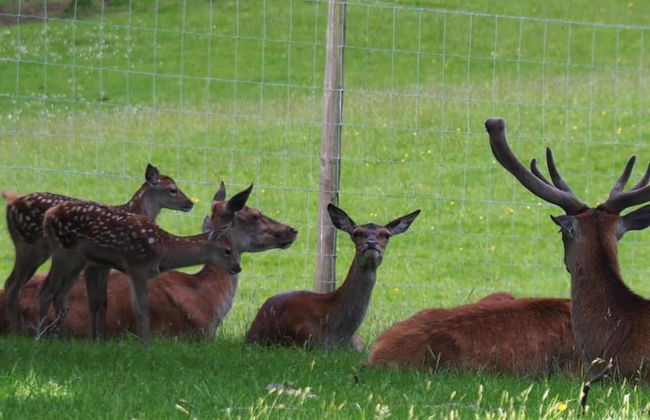 1 Bed Flat - Sleeps 2 - Wifi - Foto 18