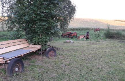 Blanki Siedlisko agroturystyczne Jestem - Foto 12