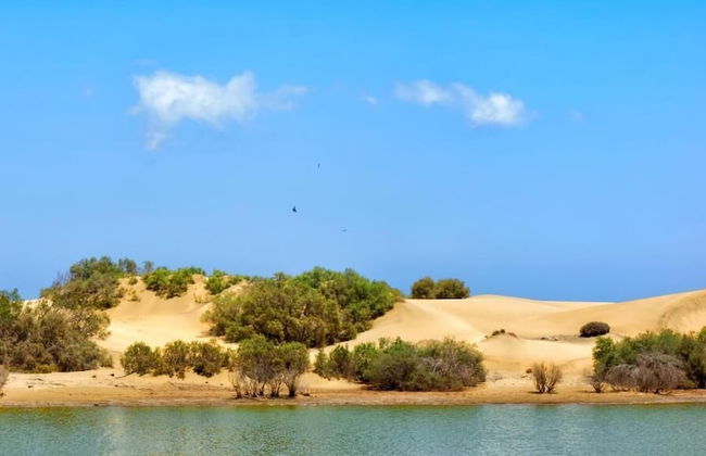 Apartamentos Tamara - Foto 44