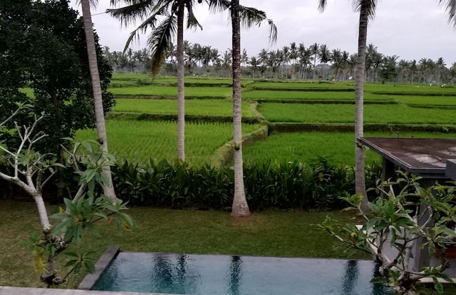 Anggira Villa Ubud - Photo 56