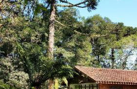 Casa Goldoni Gramado - Photo 16