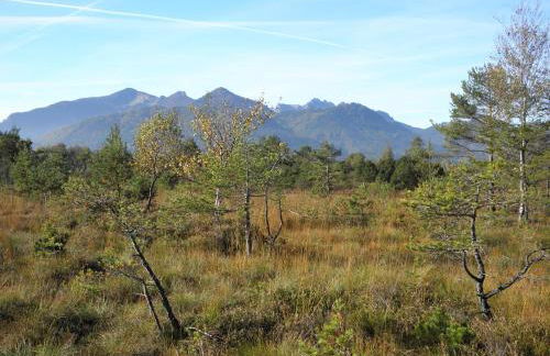 Ferienwohnung Fritzenwenger - Foto 20