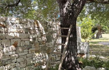 Trulli Donna Gina - Foto 15