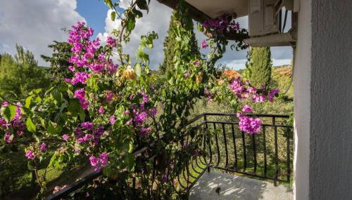 Apartments Daju - Foto 2