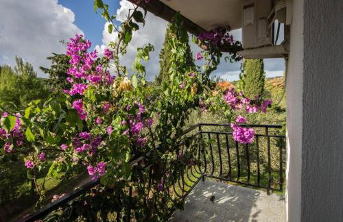 Apartments Daju - Foto 2