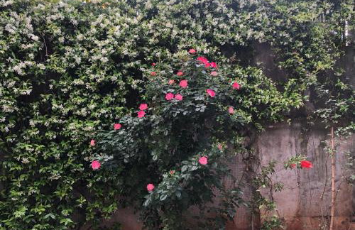 Lavender cozy & lovely 17 - Foto 25