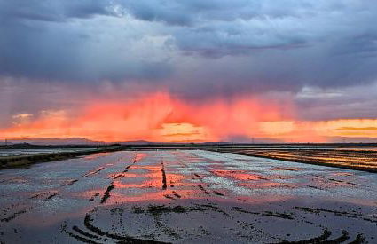 Apartamento prémium con 5 Piscinas Barbacoa Tenis Frontenis - Foto 41