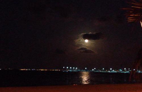 Estrella de Mar - Foto 24