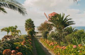 Moinho das Feteiras - Photo 24