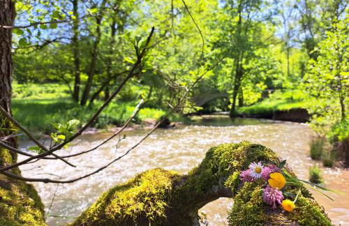 Steewer Landhaus gemütliche Ferienwohnung bis 6 Pers in ruhiger Ortsrandlage - Foto 42