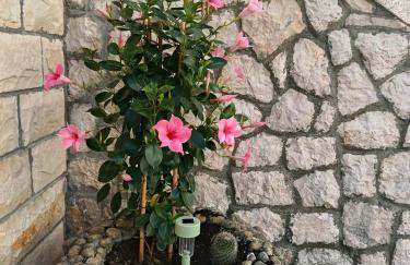 Apartmani Gero - Foto 75