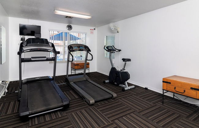 Chasing Adventures - Photo 33