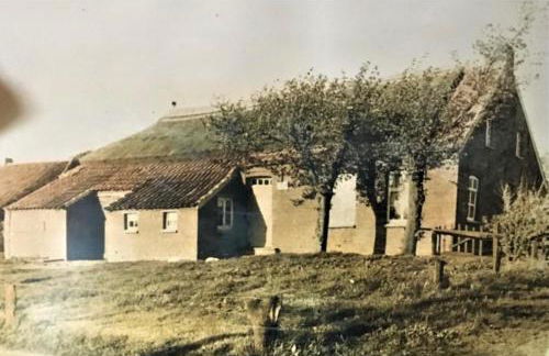 Lindenhuus-Urlaub unter einem Teilreetdach-Terrasse - Nahe Norden-Norddeich - Foto 33